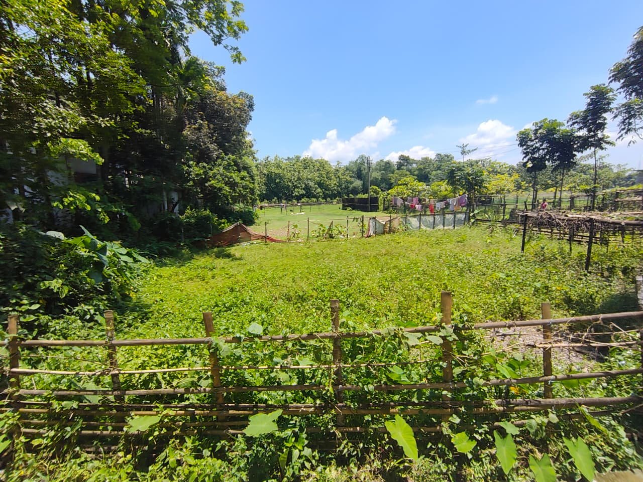 Land for Sale β Gairkata, Near Dhupguri, Jalpaiguri Dist